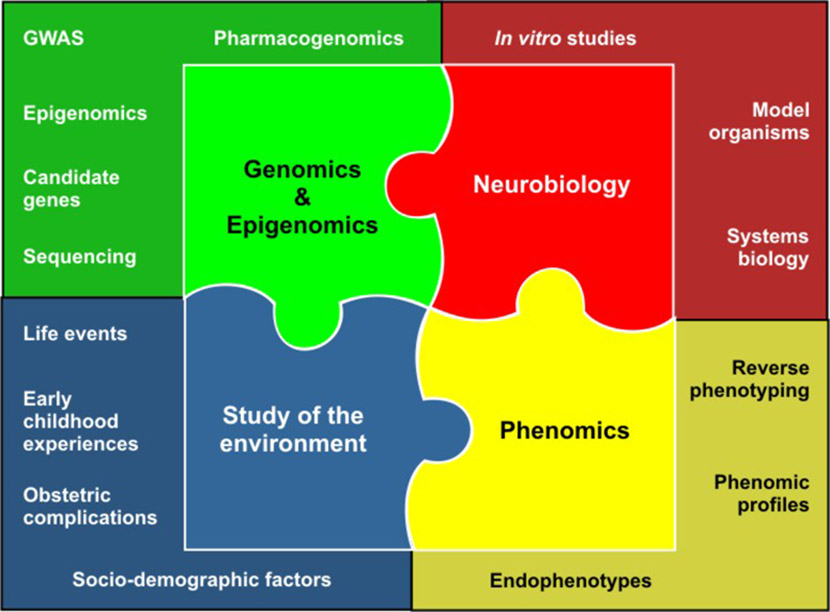 Puzzle of PsyCourse interactions