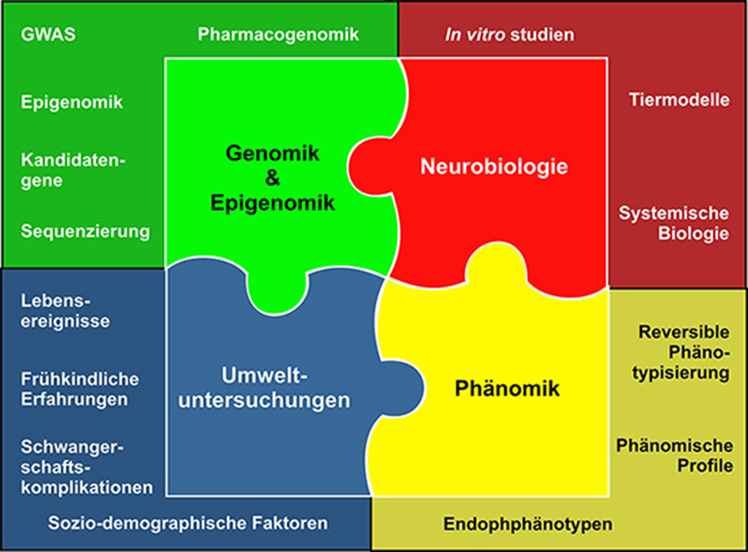 Puzzlegrafik zu Interaktionen